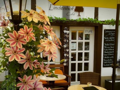 照片:  Lindenhof